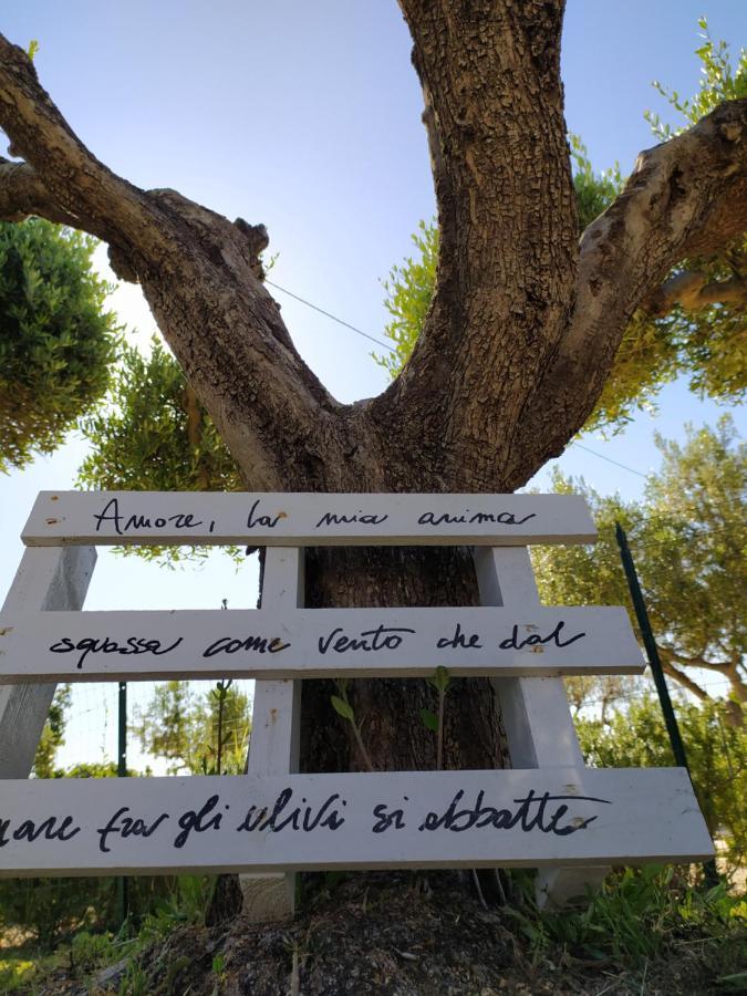Вілла Relais Il Giardino Fra Gli Ulivi Торіно-ді-Санґро Екстер'єр фото