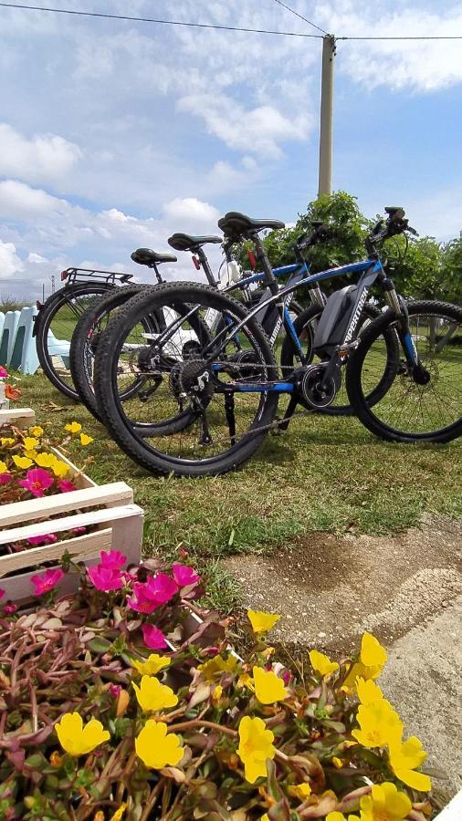 Вілла Relais Il Giardino Fra Gli Ulivi Торіно-ді-Санґро Екстер'єр фото
