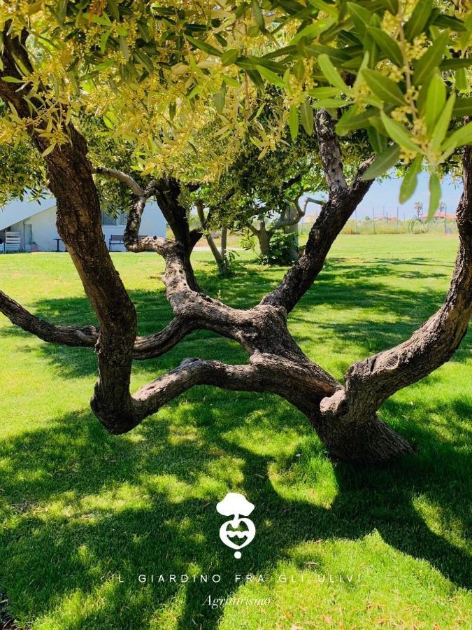 Вілла Relais Il Giardino Fra Gli Ulivi Торіно-ді-Санґро Екстер'єр фото