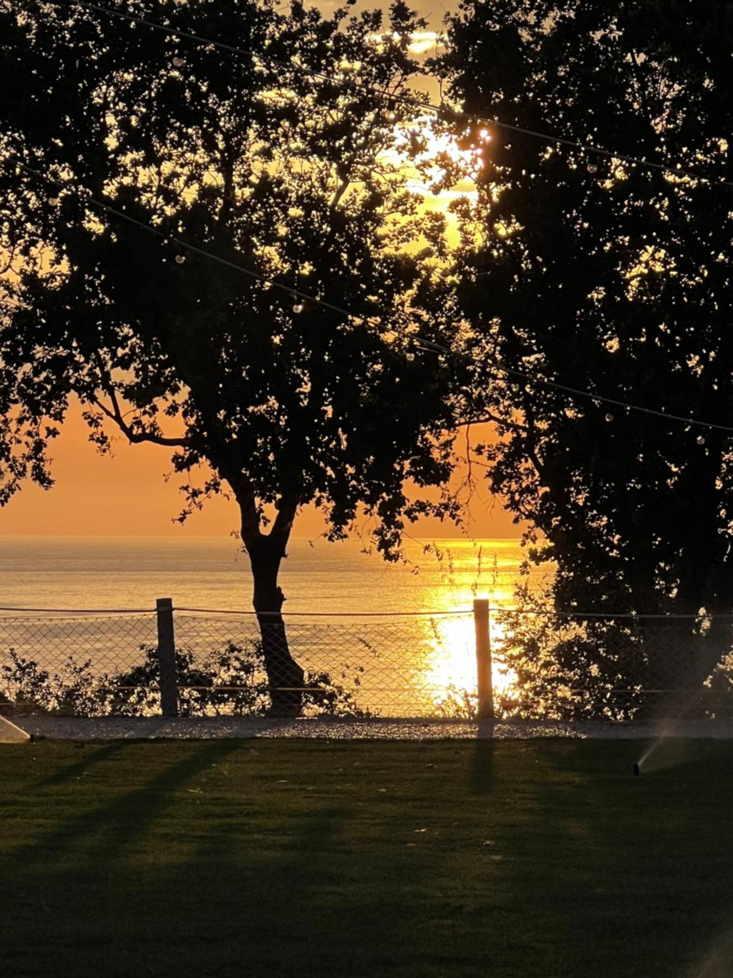 Вілла Relais Il Giardino Fra Gli Ulivi Торіно-ді-Санґро Екстер'єр фото